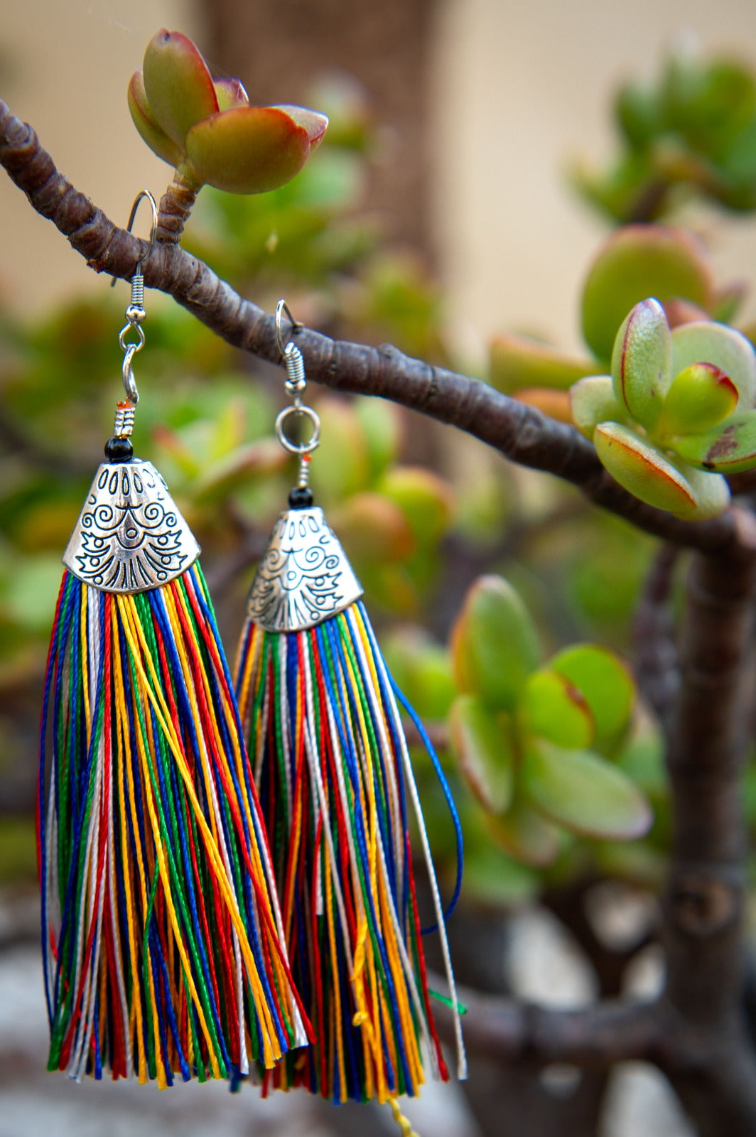 Earrings - Rainbow String